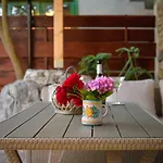 Vintage Garden Daire Pula