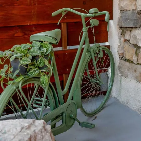 Daire Vintage Garden *