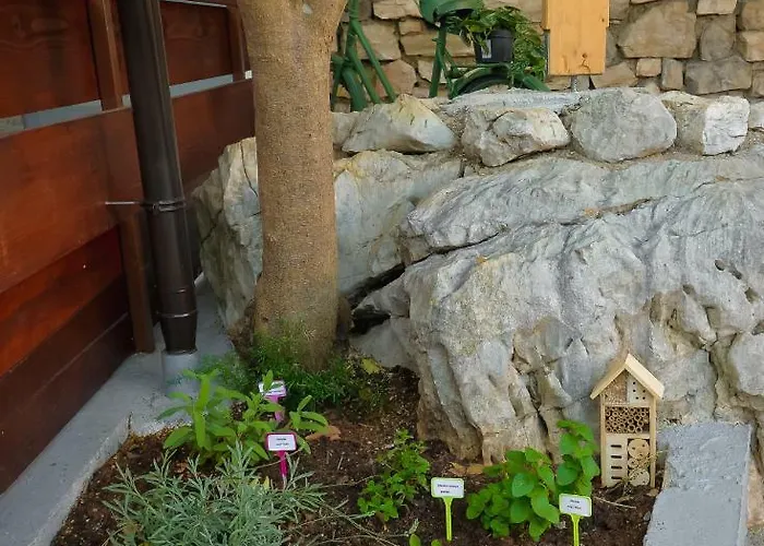 Apartman Vintage Garden