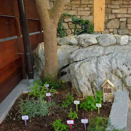 Appartamento Vintage Garden
